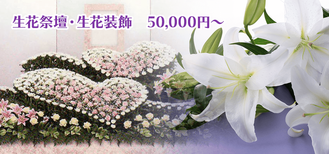 ԍՒdEԑ@50,000~`